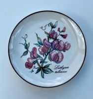 Villeroy&Boch Botanica "Lathyrus tuberosus" Teller, Sammler Rheinland-Pfalz - Zehnhausen bei Wallmerod Vorschau