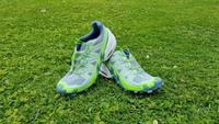 Salomon Speedcross 6, Damen, top Zustand, 41 1/3 Nordrhein-Westfalen - Soest Vorschau