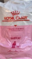 Royal Canin Mother and Babycat 10kg OVP Bayern - Neu Ulm Vorschau