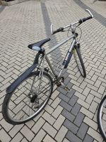 Fahrrad zu verkaufen Thüringen - Arnstadt Vorschau