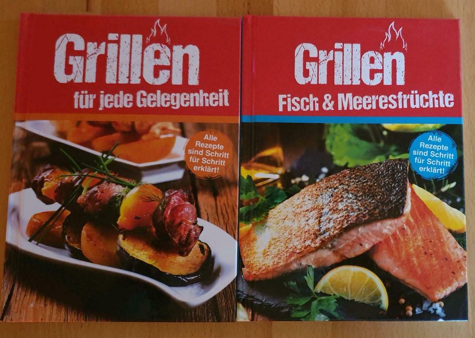 Diverse Kochbücher ab 1 € Trennkost Party Snacks Grillen in Hilgert