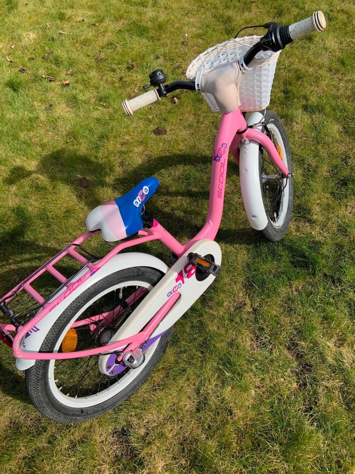Mädchen Fahrrad Kinderfahrrad 18 Zoll in Potsdam