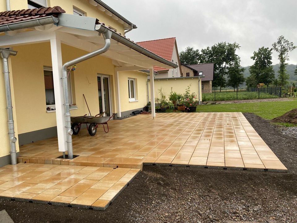 Baumfällung Baum fällen Pflasterarbeiten Wurzel entfernen in Osterode am Harz