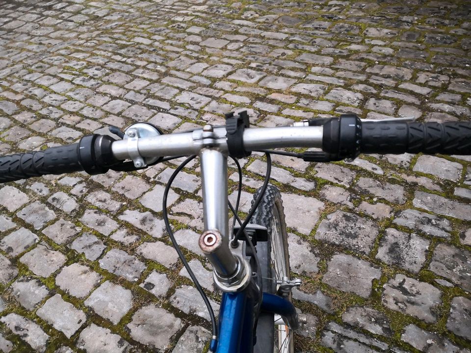 Fahrrad Spezialised in Würzburg