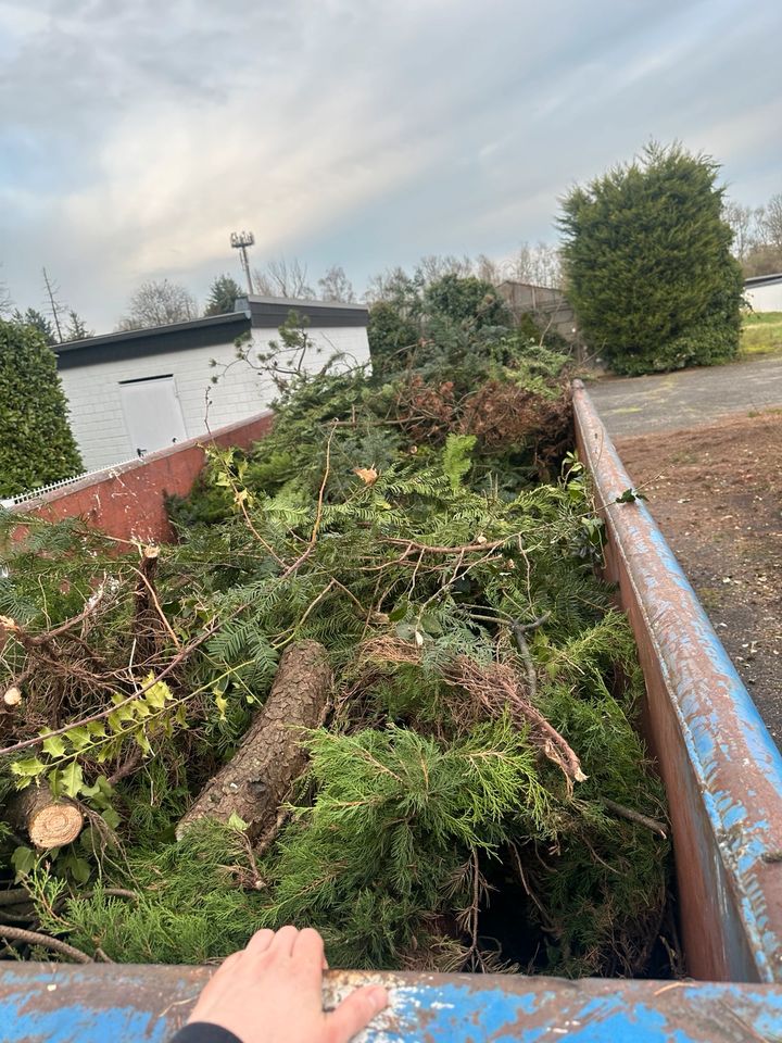 Baumfällung, Baumpflege, Grünschnitt, Gartenarbeit, Baggerarbeit in Frechen