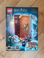 LEGO Harry Potter 76382 Verwandlungsunterricht Transfiguration Cl Stuttgart - Stuttgart-Süd Vorschau