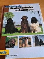 Buch: Hund, Neufundländer und Landseer FP 10 Euro Nordrhein-Westfalen - Gelsenkirchen Vorschau