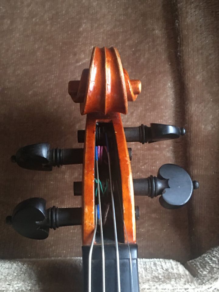 Schöne Kindergeige / 1/4 - Geige  "Golden Violin" in Freiburg im Breisgau