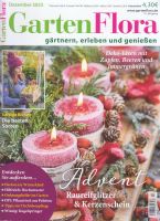 ✯ Garten Flora 12 / Dezember 2023 Advent Deko DIY * 1,50€ Schleswig-Holstein - Schleswig Vorschau