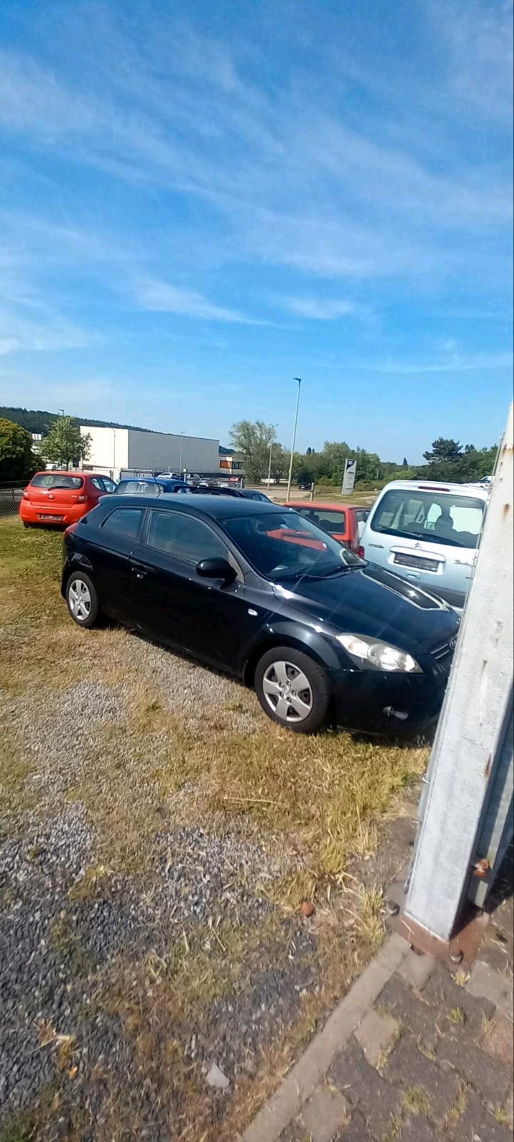 Abbildung des Autos Auto Kia Ceed