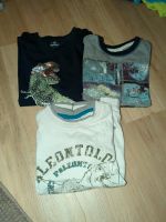 3 langarm Pullis,Pullover,Dino Sweatshirt, Größe 122, zusammen 3€ Hessen - Groß-Gerau Vorschau