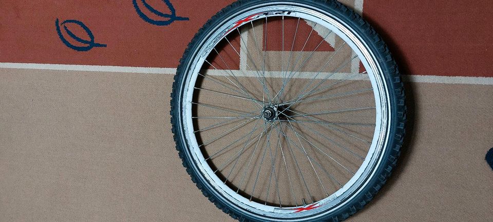 Fahrrad Räder komplett 2 St / Preis für beide in Mannheim