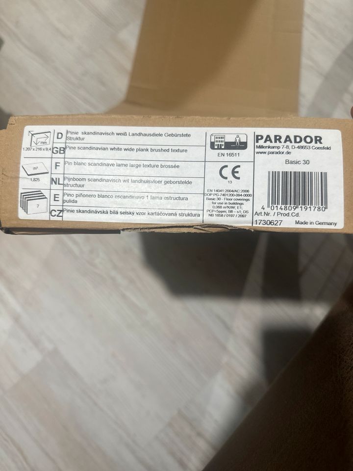 !!SUCHE!! Parador Pinie skandinavisch gebürstet Basic 30 Vinyl in Stuttgart