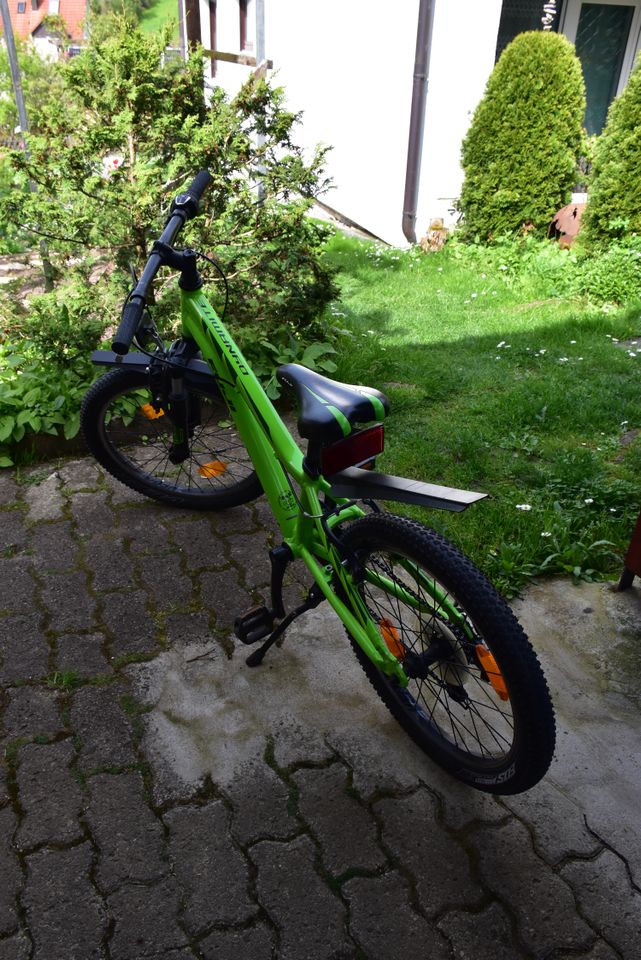 FUJI Bikes Mountainbike Dynamite, 20" in Veitshöchheim