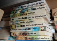 Jugendbücher für Pferdefreunde, Blitz der schwarze Hengs, 9 Bände Baden-Württemberg - Ditzingen Vorschau