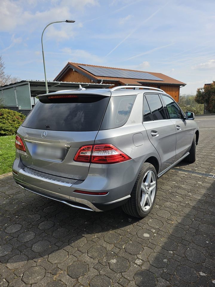 Mercedes Benz ML 350 in Frankfurt am Main