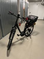 E-bike PEGASUS für Herren/Damen Bayern - Eging am See Vorschau