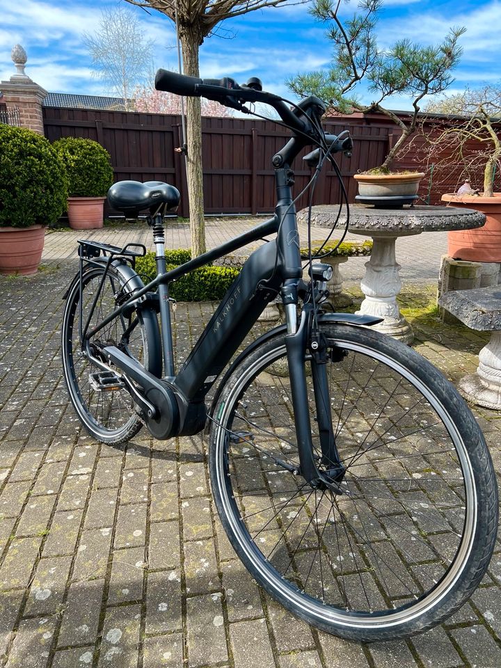 Pedelec E-Bike Kalkhoff Agattu Rücktritt 500 Wh in Beckum