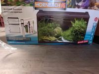 Aquarium, Aquarium-Set, Aquarium-Konvolut Rheinland-Pfalz - Pirmasens Vorschau