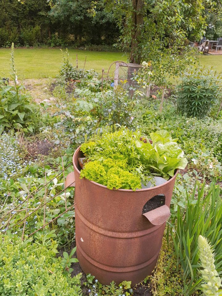 Pflanztonnen , Hochbeet , Blumen in Hude (Oldenburg)