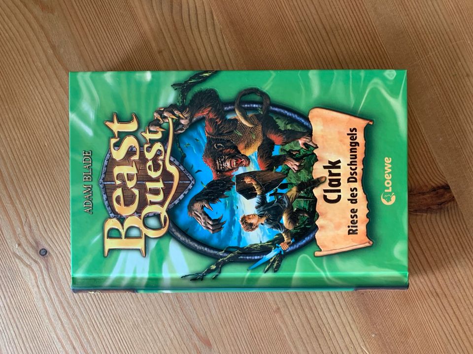 Beast Quest Bücher in Rumohr