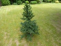 künstlicher Tannenbaum inkl Ständer, Höhe 1,55 m Nordrhein-Westfalen - Ibbenbüren Vorschau