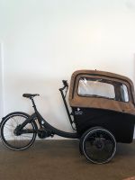 Triobike Boxter II / E-Lastenrad / Sonderpreis!! Düsseldorf - Heerdt Vorschau