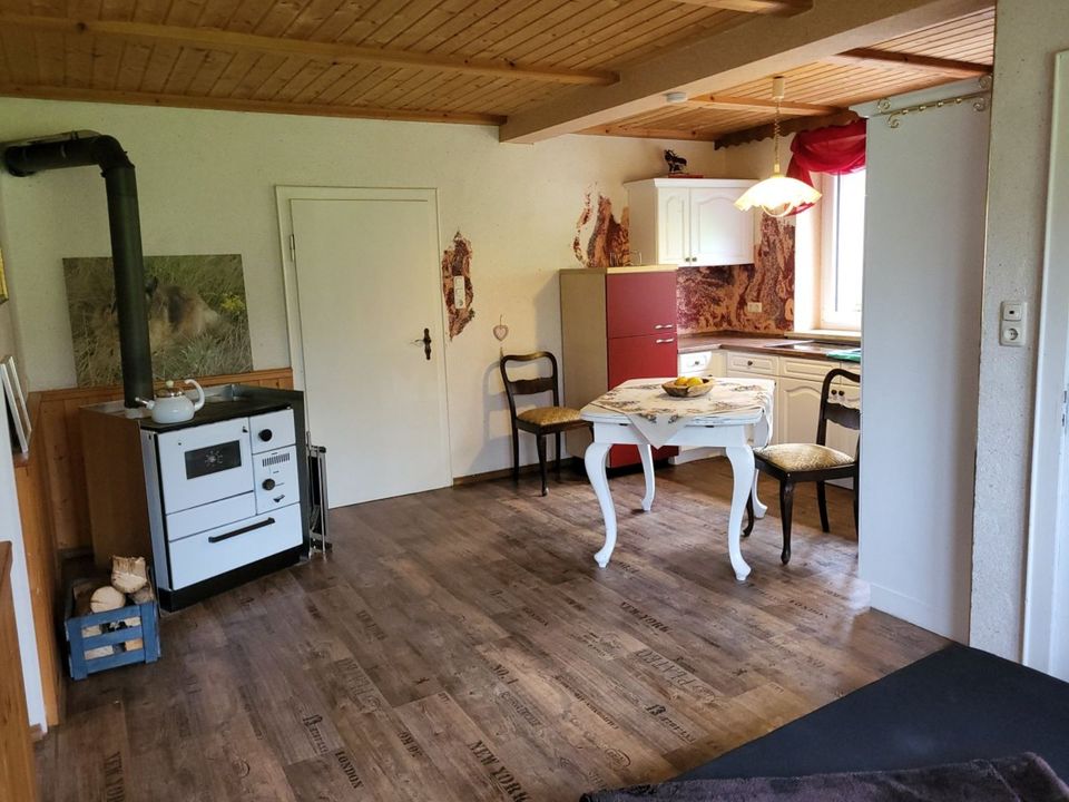 Ferienwohnung in der Natur in Wallenfels