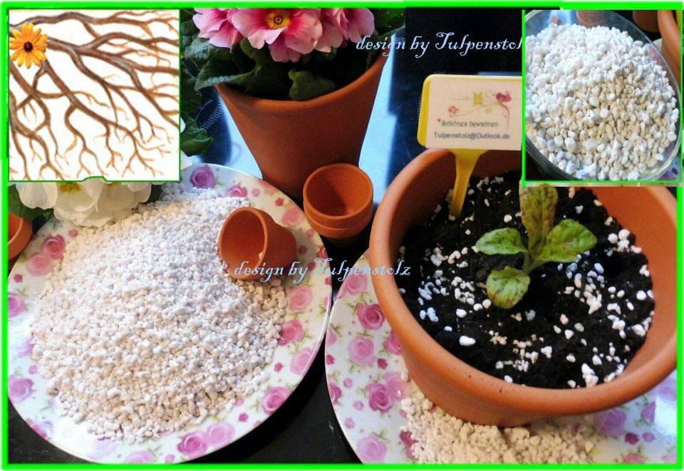 ♥BIO PERLITE für besten Boden Aussaat 1xGratis Garten Tulpenstolz in Hamburg