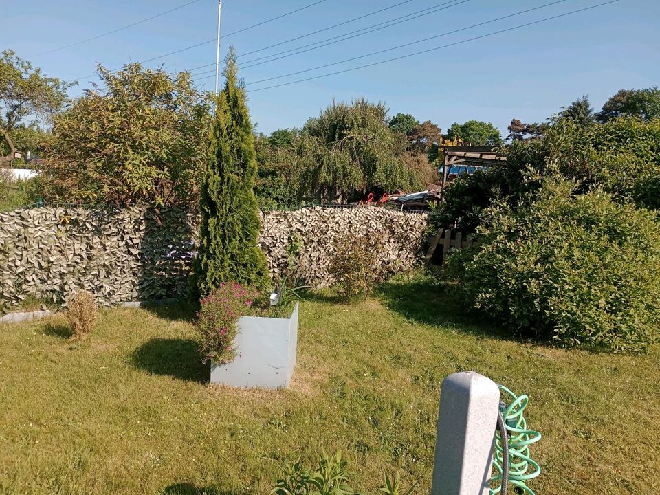 Gartendraht-Zaun mit Pfosten usw etwas über 10 Meter in Langenhagen