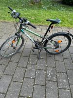 Stevens Fahrrad 24 Zoll Bielefeld - Joellenbeck Vorschau