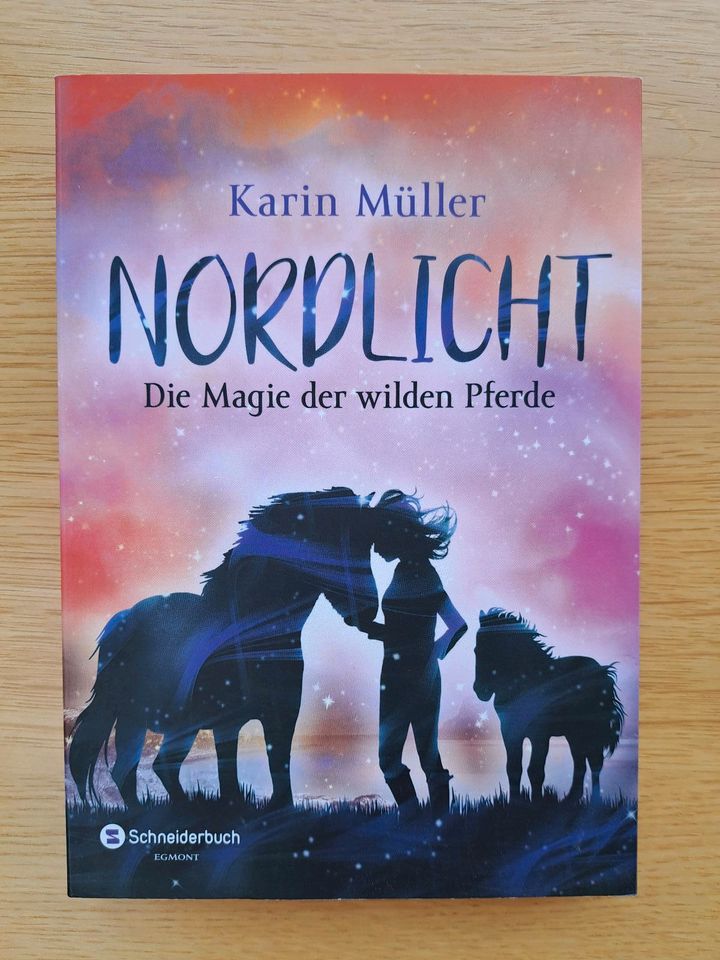 Buch Nordlicht - Karin Müller, Band 1-3 in Homberg (Efze)