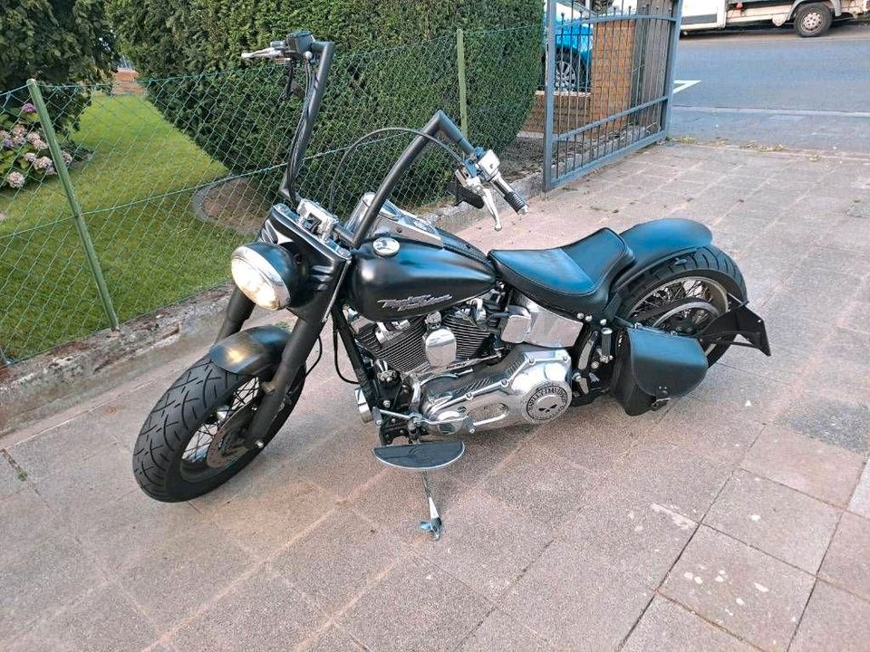 Harley Davidson Softail Fat Boy Umbau Twin Cam 88 in Flörsheim am Main