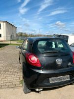 Ford Ka Unfallfahrzeug Sachsen - Riesa Vorschau