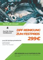 DPF Reinigung Partikelfilterreinigung zum FESTPREIS + Garantie Baden-Württemberg - Radolfzell am Bodensee Vorschau