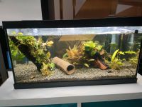 Eheim 60l Aquarium mit Außenfilter Baden-Württemberg - Murr Württemberg Vorschau