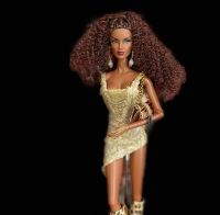 Fashion Royalty,Barbie Puppe NUR Outfit/Kleidung- Amirah Majeed Niedersachsen - Algermissen Vorschau