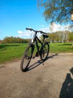 Conway MC 400 - 26 zoll Fahrrad Nordrhein-Westfalen - Rahden Vorschau