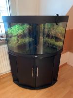 JUWEL Aquarium 190 l Nordrhein-Westfalen - Castrop-Rauxel Vorschau