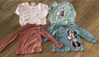 Mädchen Shirts Langarm Sommer H&M ZARA Set Paket Gr 110 ♥️ Niedersachsen - Burgwedel Vorschau