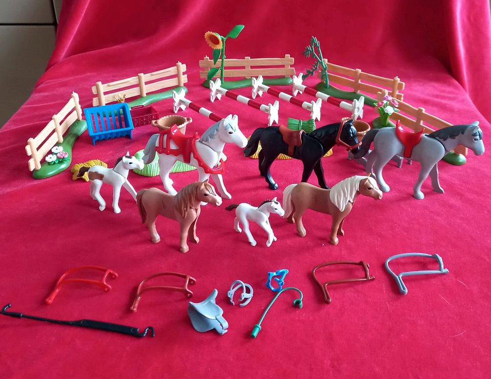 Playmobil Pferdehof 3 Pferde + 2 Pony + 2 Fohlen Hindernisse Zaun in Bornheim