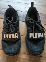 Puma Sneaker 35 Kiel - Ravensberg-Brunswik-Düsternbrook Vorschau