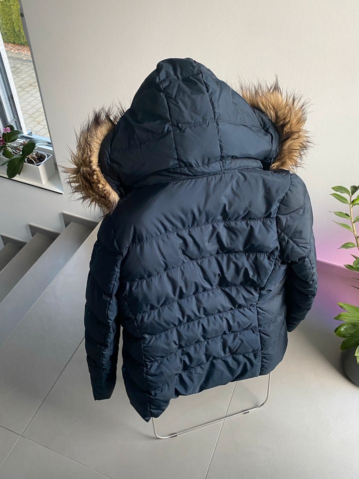 Daunenjacke Winterjacke Wintermantel Tommy Hilfiger in L in Bielefeld