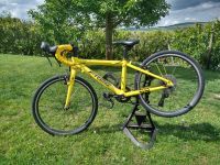 Frog Bikes 58 20 Zoll Rennrad Rheinland-Pfalz - Bad Sobernheim Vorschau