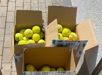 Tennisbälle / Padelbälle 3 Kisten verfügbar Baden-Württemberg - Heidelberg Vorschau