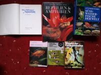 6 Aquarien/Terrarien Bücher Niedersachsen - Helmstedt Vorschau