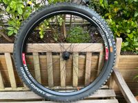 DT Swiss XM 481,29er Boost, neu, Nordrhein-Westfalen - Velbert Vorschau