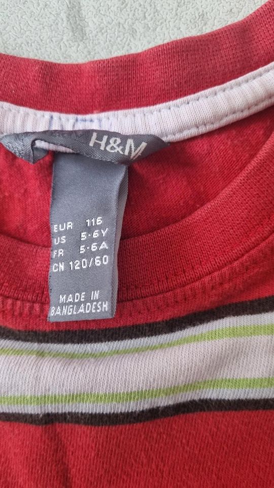 Tshirt von H&M Gr.116 in Chemnitz