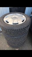 Wintereifen 205/55R16 91H|Audi A3…VW Golf…Seat Leon…Skoda Oktavia Eimsbüttel - Hamburg Niendorf Vorschau