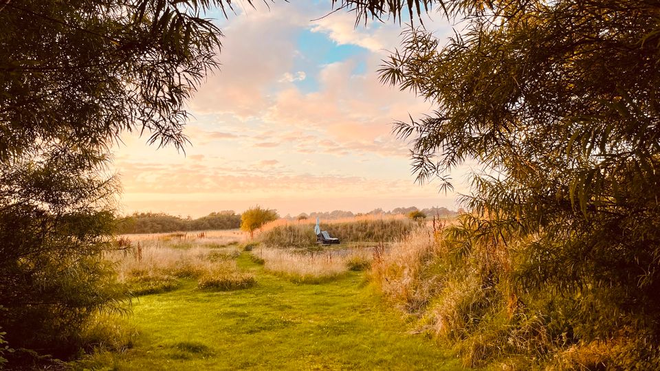 Auszeit (mit Hund) nahe Sylt, Föhr – Workation, Ferienwohnung in Berlin